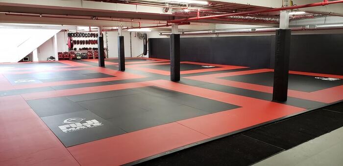 Gym Flooring – FUJI Mats