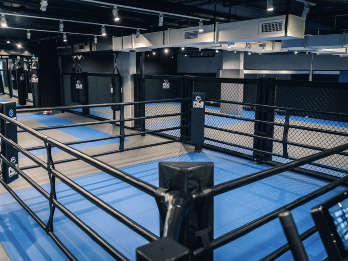 Blue Boxing Ring, Size: 20 Feet X 20 Feet at Rs 425000/set in Meerut | ID:  24192428491