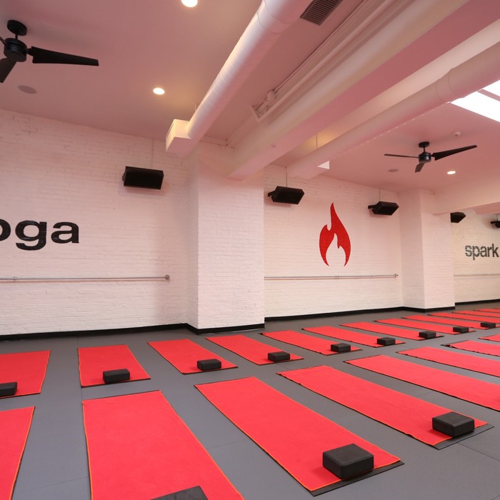 Zebra Yoga Tiles: Elevate Your Yoga Studio with Premium Flooring Solution