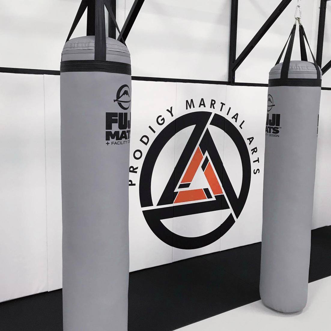 The Ultimate Punching Bag Buyer's Guide