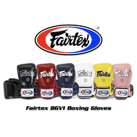 Fairtex BGV1 Boxing Gloves