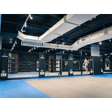 Fuji MMA Cage Panels