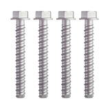 Fuji Concrete Anchor Screw Kit - 4 Pack