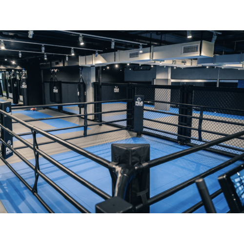 Gym boxing ring cheap
