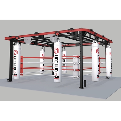 Fuji Matrix Boxing Ring